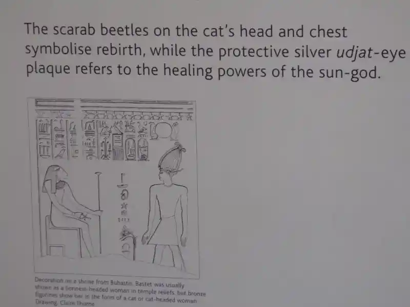 The scarabs and the udjat-eye on the chest of the Gayer-Anderson cat.
